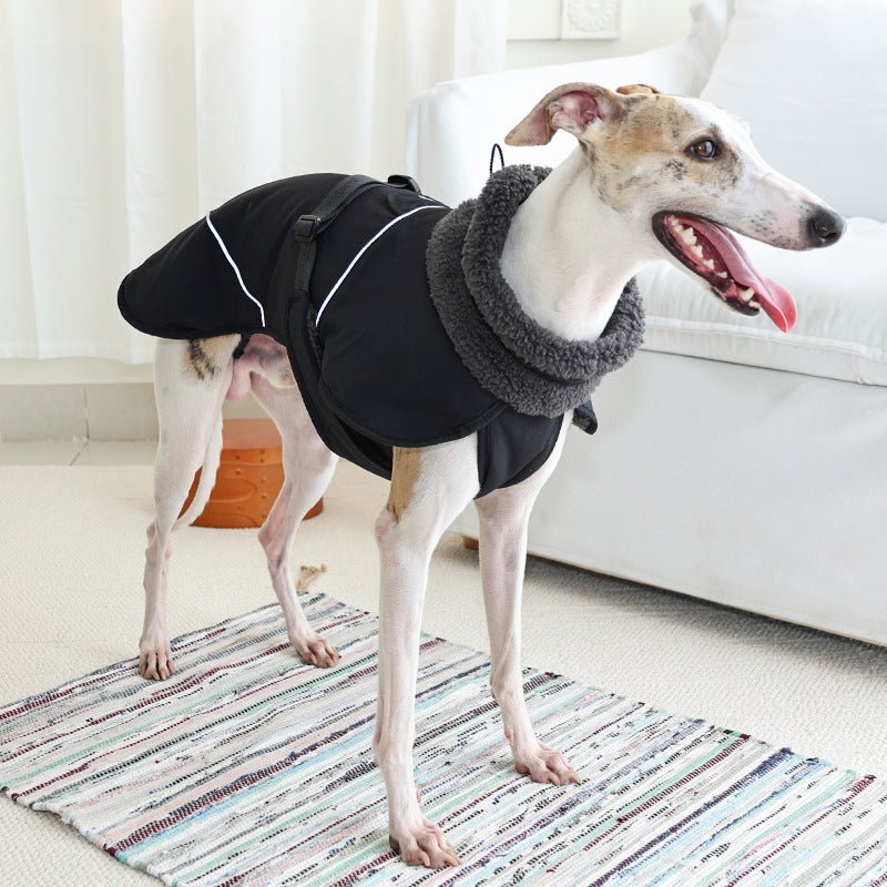 Dog Cotton - padded Clothes Go Out In Autumn And Winter Warm - keeping And Cold - proof Pet Clothes - PawGearCo