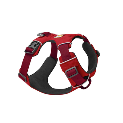 Dog Collars & Leashes