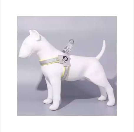 PawGearCo Adjustable Reflective Dog Harness Set - PawGearCo