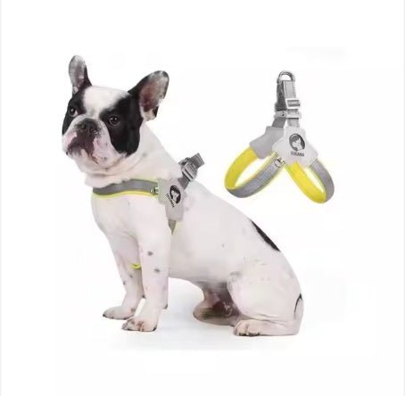PawGearCo Adjustable Reflective Dog Harness Set - PawGearCo