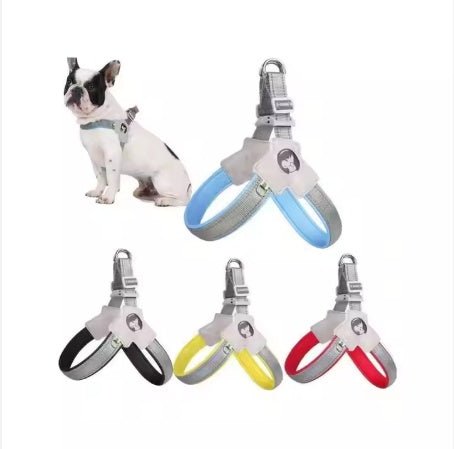 PawGearCo Adjustable Reflective Dog Harness Set - PawGearCo
