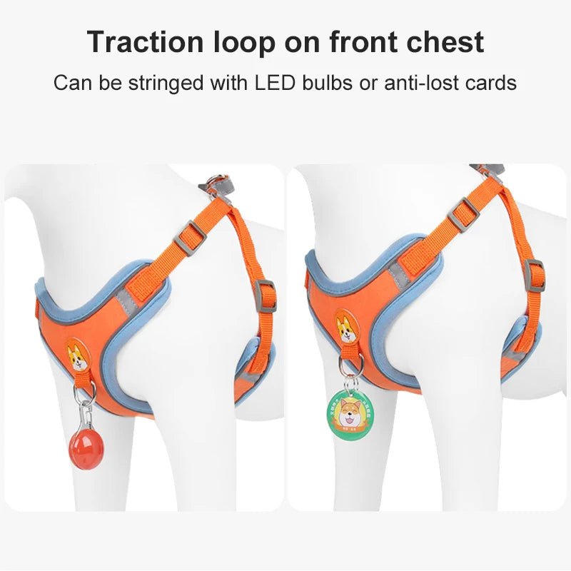 PawGearCo No - Pull Reflective Harness & Leash Set - PawGearCo