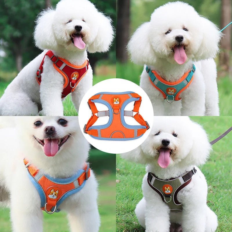 PawGearCo No - Pull Reflective Harness & Leash Set - PawGearCo
