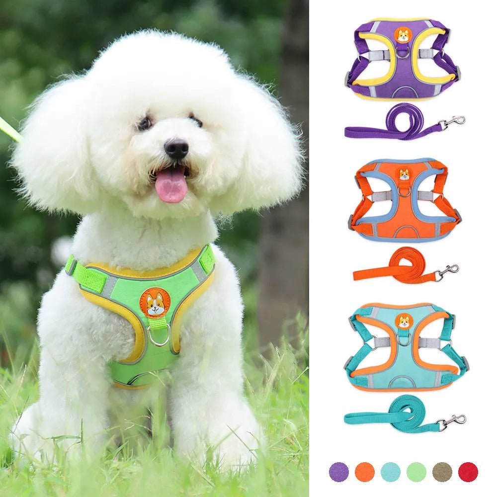 PawGearCo No - Pull Reflective Harness & Leash Set - PawGearCo