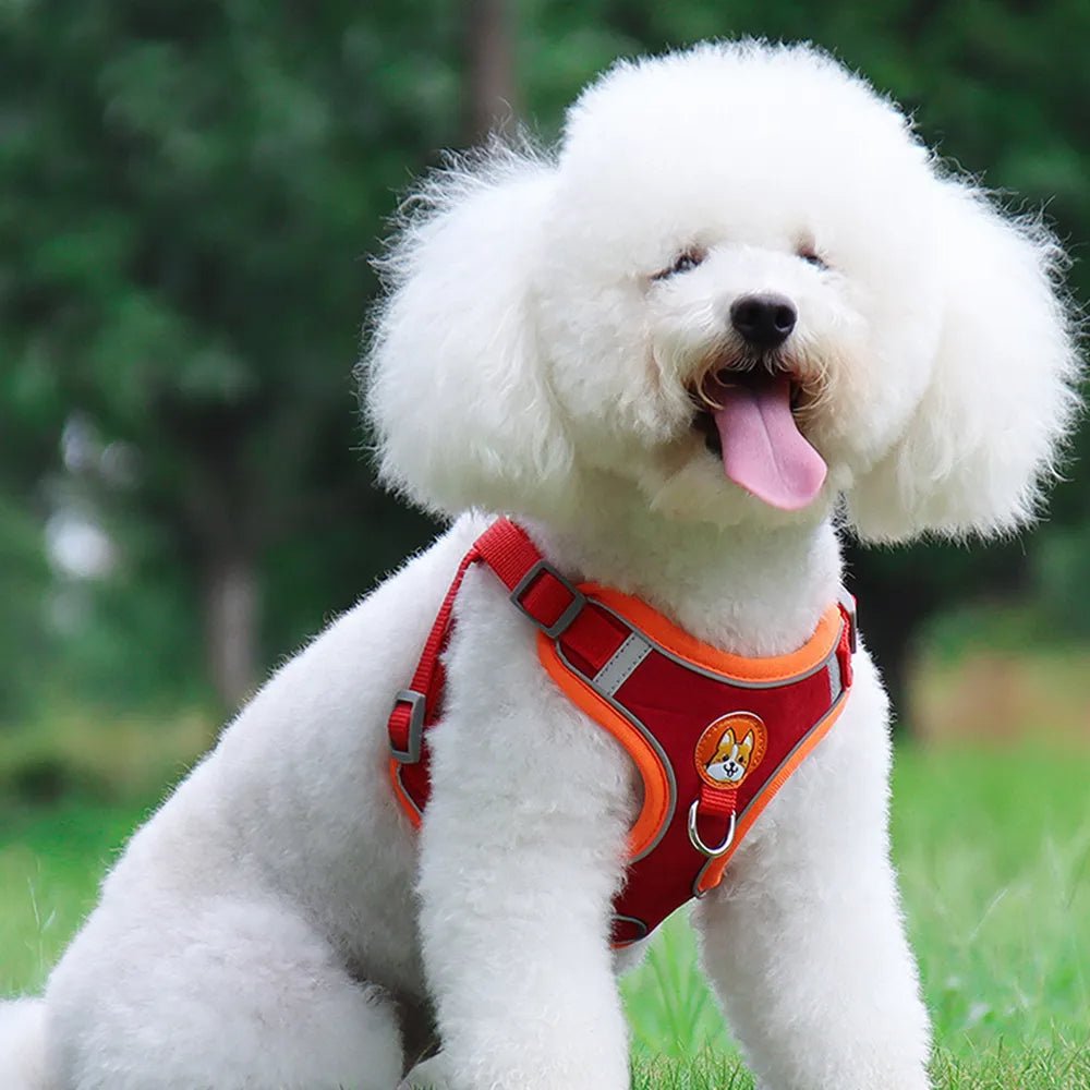 PawGearCo No - Pull Reflective Harness & Leash Set - PawGearCo
