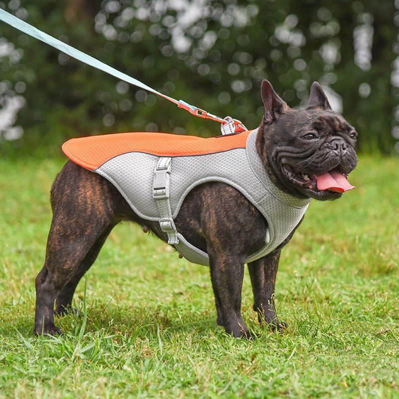 Summer Pet Outdoor Breathable Cooling Vest - PawGearCo