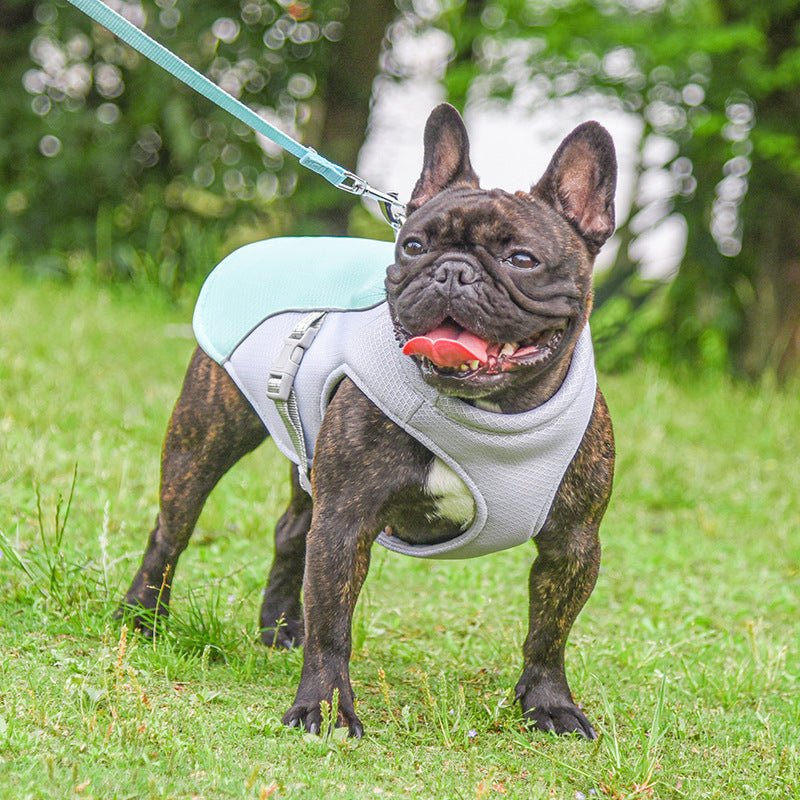 Summer Pet Outdoor Breathable Cooling Vest - PawGearCo